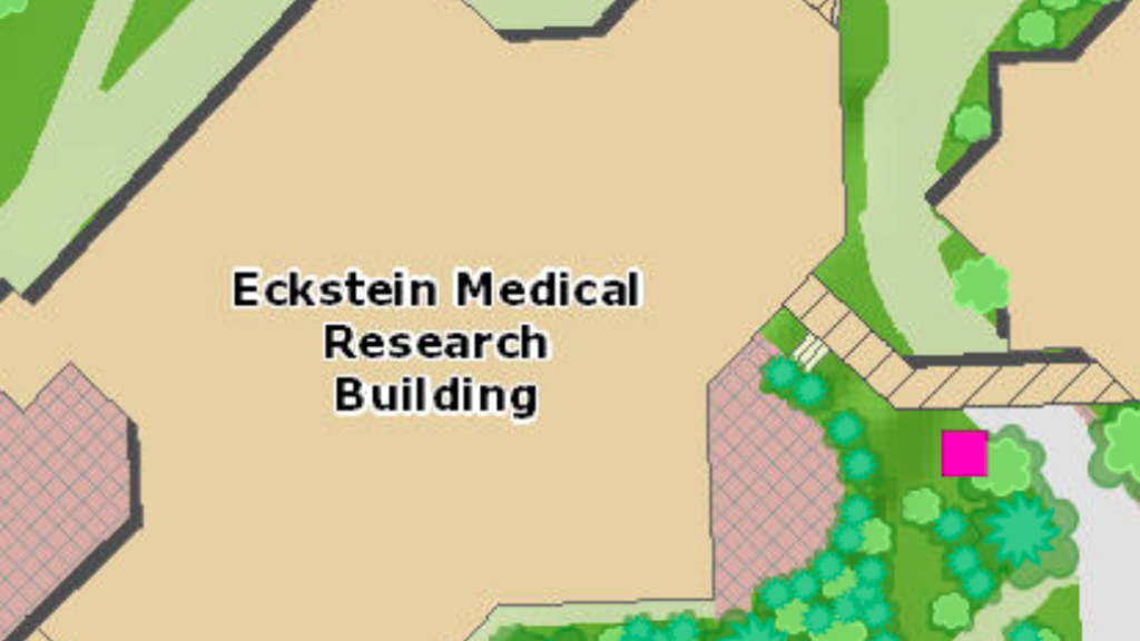 Eckstein Medical Research Building Garden