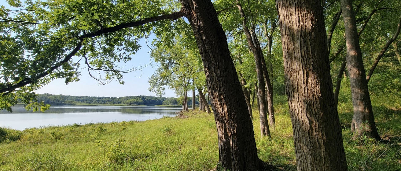 View of MNRA shoreline and Coralville Lake