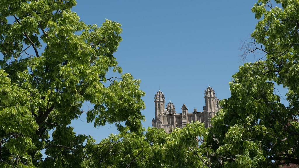 The Boyd Tower pictured in a canopy of trees on the UI campus